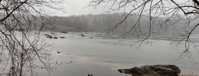 Riverbend Regional Park – 17 January 2026