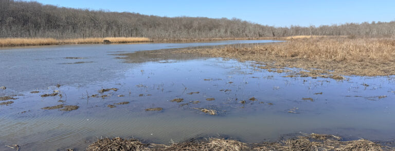 Aquia Landing Beach and Crows Nest Boardwalk – February 28, 2026
