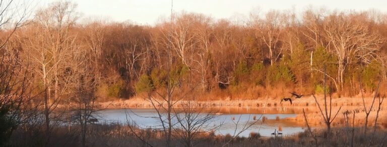 Leopold’s Preserve – March 14, 2026