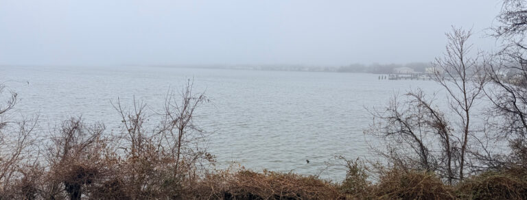 Occoquan Bay NWR covered in fog