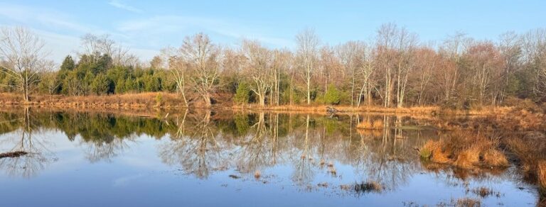 Silver Lake Regional Park – March 21, 2026