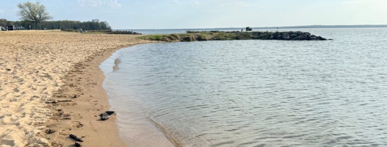 Aquia Landing Park and Crow’s Nest Natural Area – April 4, 2026