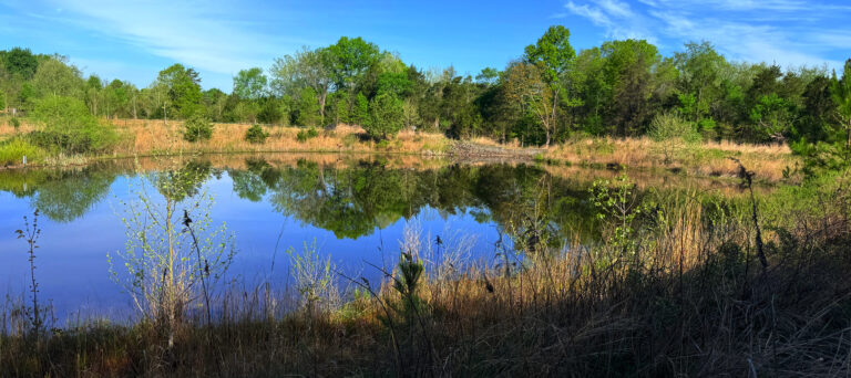 Leopold’s Preserve – 21 April, 2026