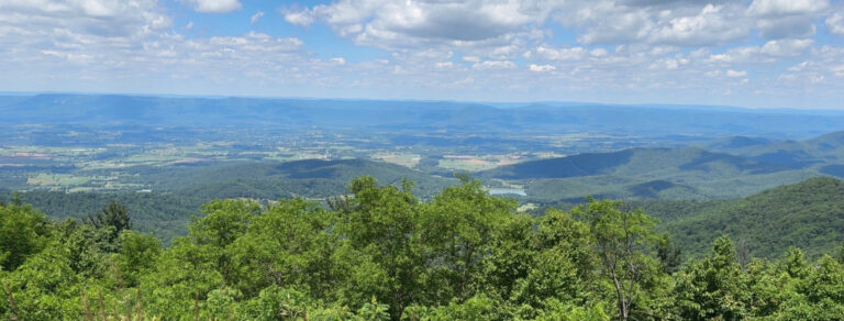 Limberlost X-Trip – June 13, 2026