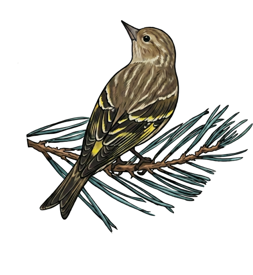 Northern Virginia Bird Club